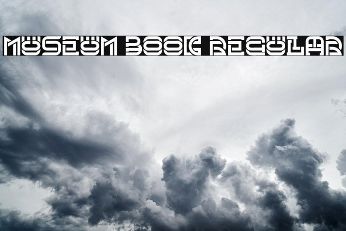 Museum Book Regular Example 3