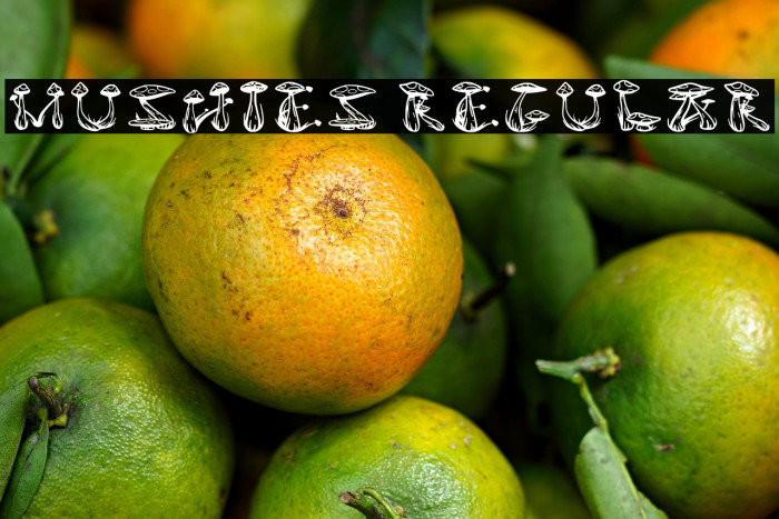 Mushies Regular Example 3