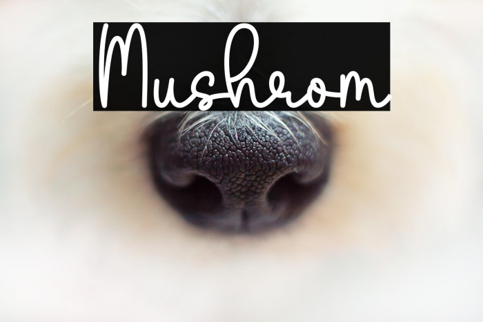 Mushrom Example 1