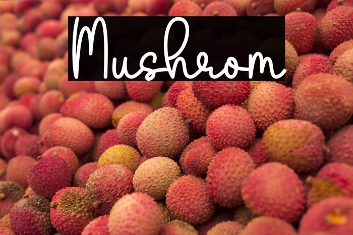 Mushrom Example 2