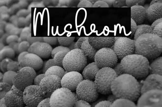 Mushrom फ़ॉन्ट examples