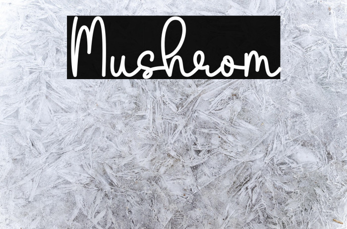 Mushrom Example 3