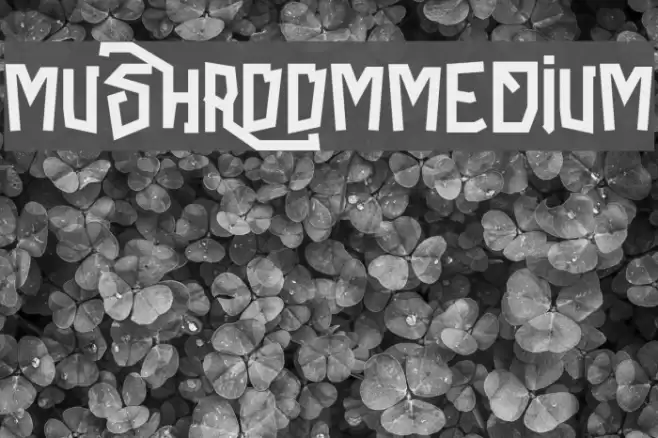 Mushroom-Medium Font examples