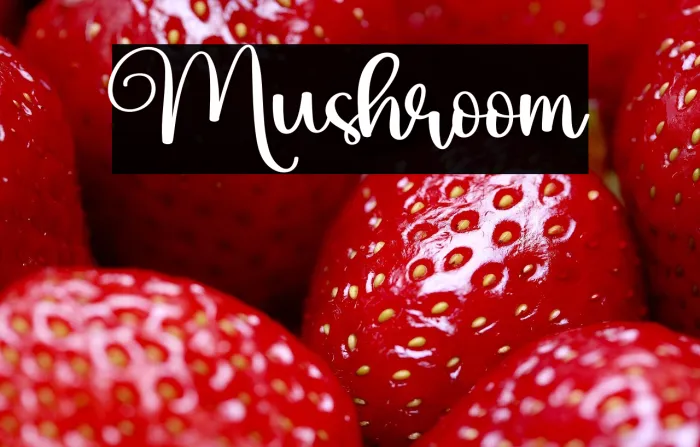 Mushroom Example 2