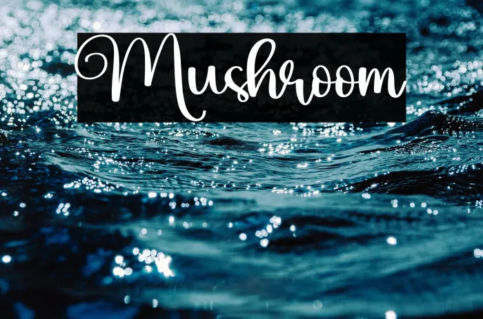 Mushroom Example 3