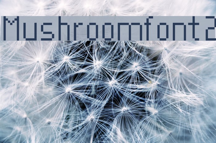 Mushroomfont2 Font examples