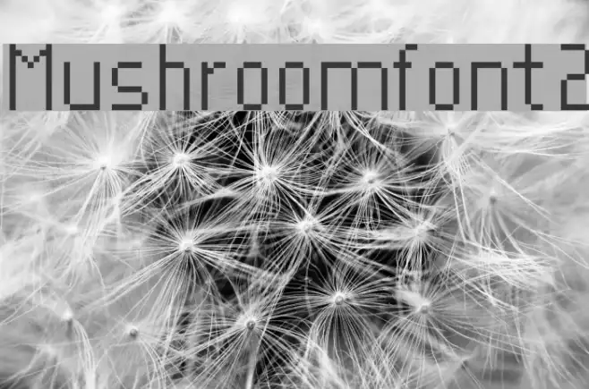 Mushroomfont2 Example 3