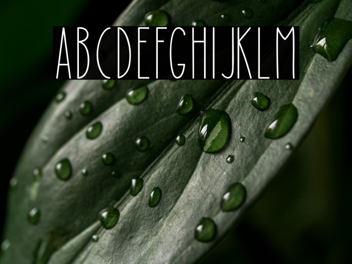 Mushy Loversy Example 1