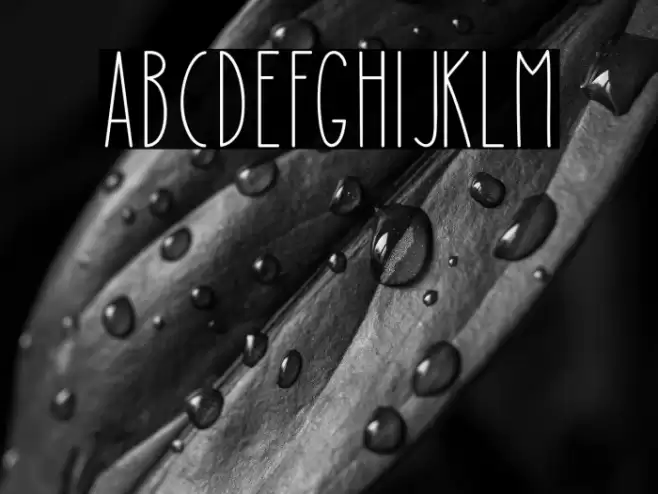 Mushy Loversy Font examples