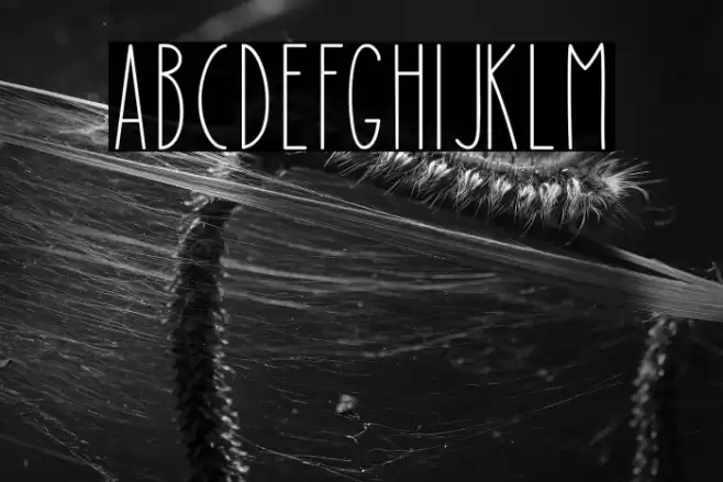 Mushy Loversy Font examples