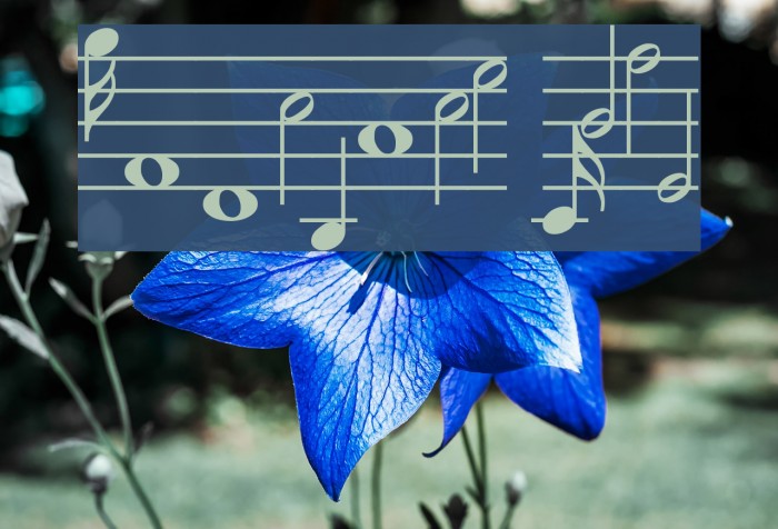 MusiQwik Bold Example 2