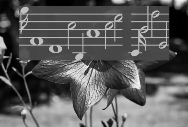 MusiQwik Bold Font examples