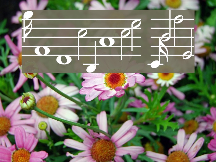 MusiQwik Bold Example 3