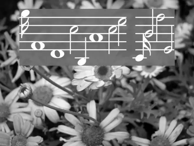 MusiQwik Bold Font examples