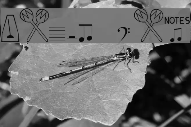 Music Fun Font examples