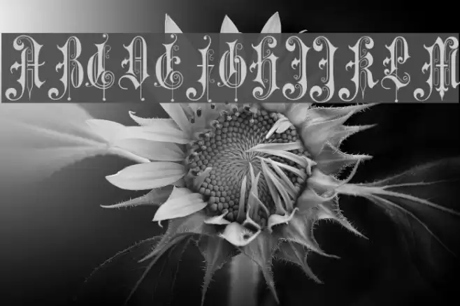 Music Hall Font examples