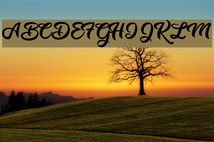 Music Magic Personal Use Regular Example 3