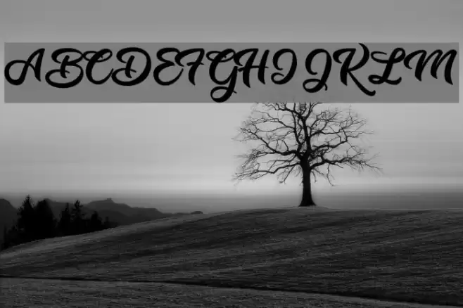 Music Magic Personal Use Regular Font examples