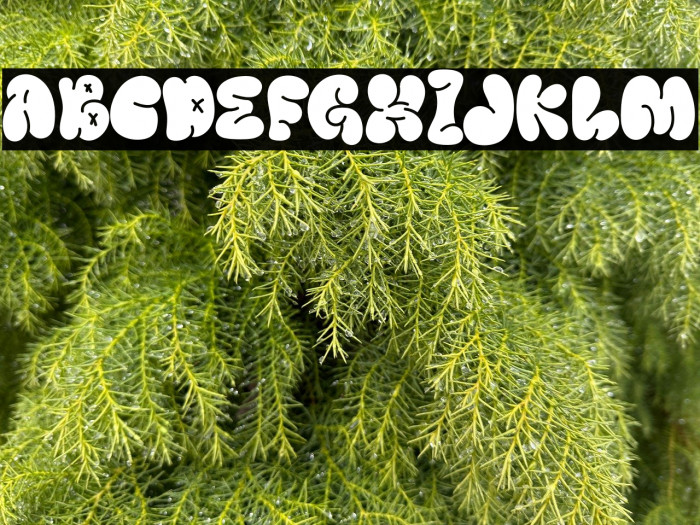 Music Vibes Example 2