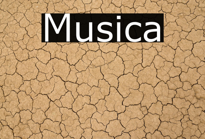 Musica Example 2