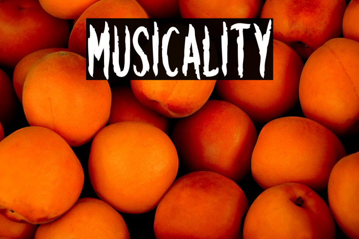 Musicality Example 1