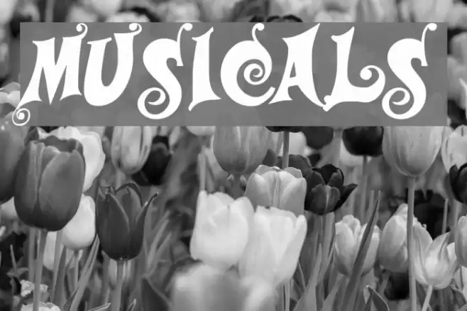 Musicals Fonte examples