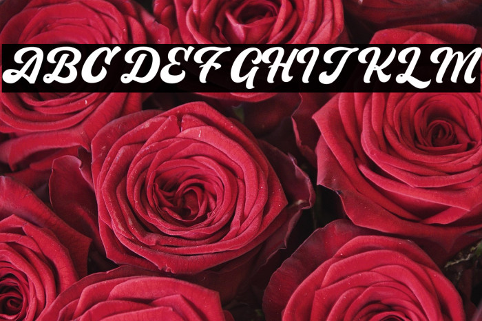 Musician Demo Example 3