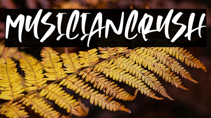 MusicianCrush Example 2