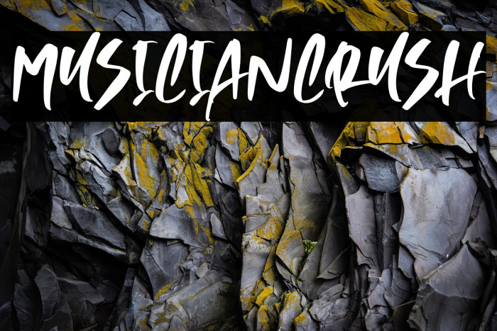 MusicianCrush Example 3