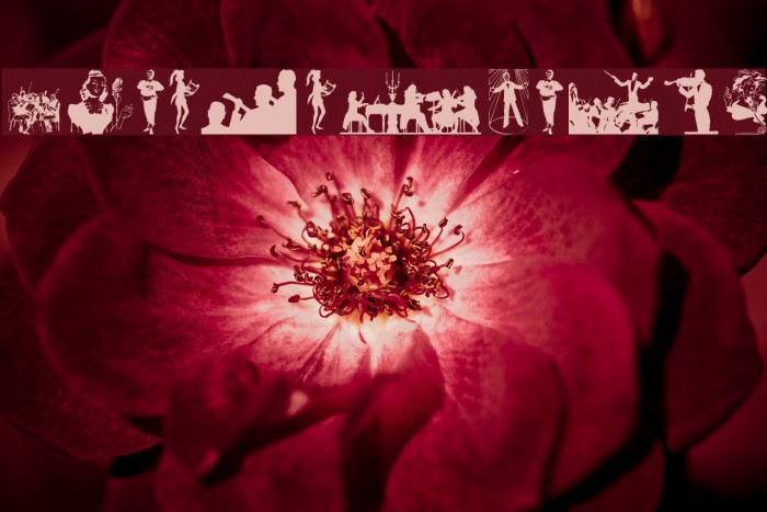 MusiciansTwo Example 3