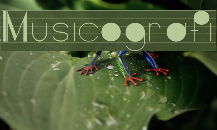 Musicografi Example 2