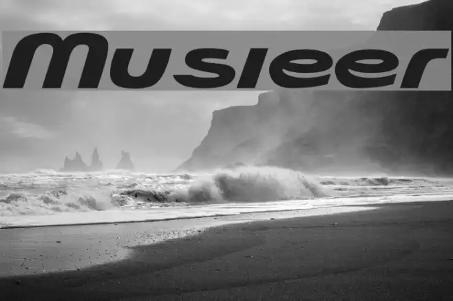 Musieer Example 1