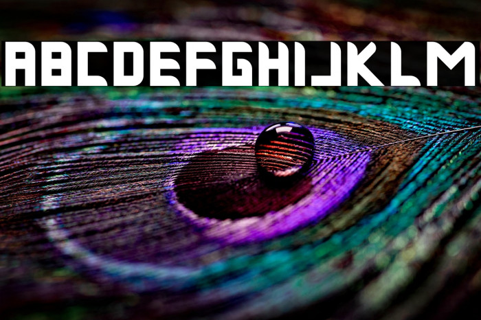 Musk Night Bold Example 1