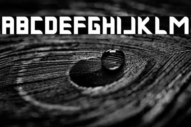 Musk Night Bold Polices examples