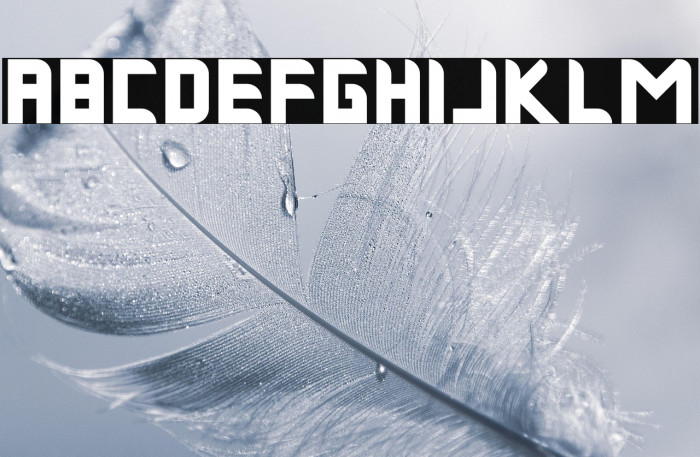 Musk Night Bold Example 3