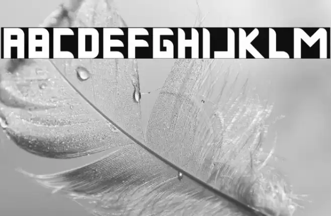 Musk Night Bold Polices examples