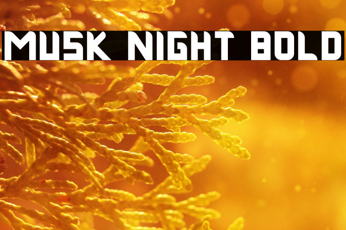 Musk Night Bold Example 1