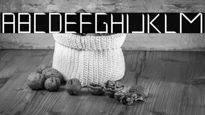 Musk Night Polices examples