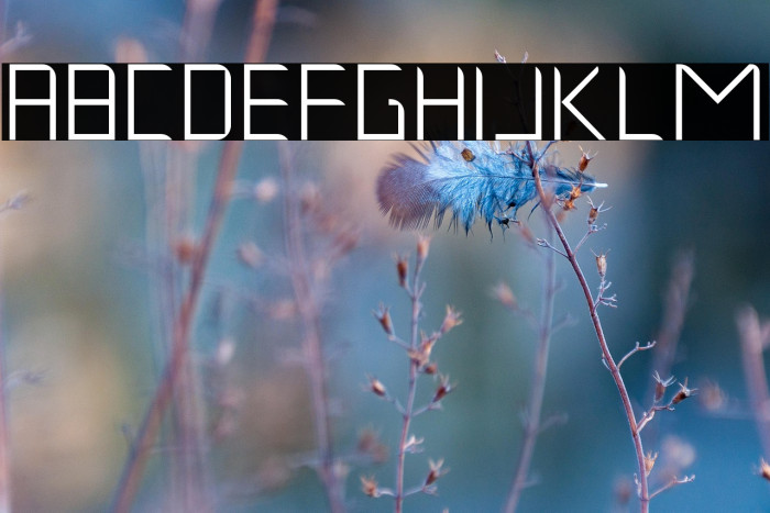 Musk Night Example 2