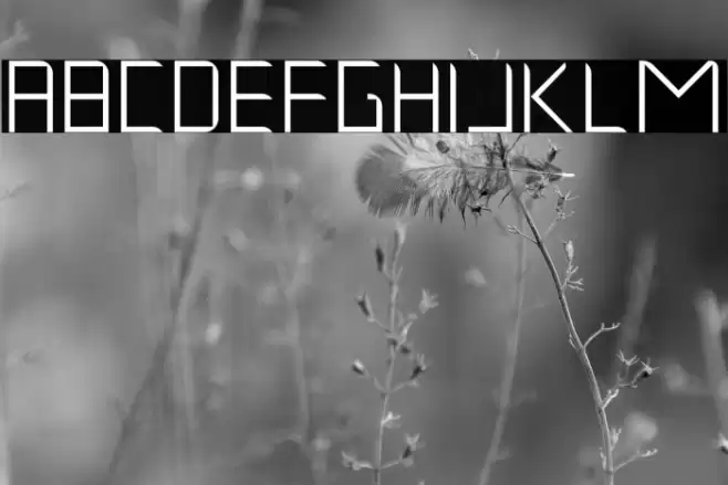 Musk Night Polices examples