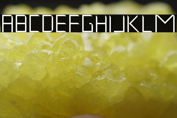 Musk Night Example 3