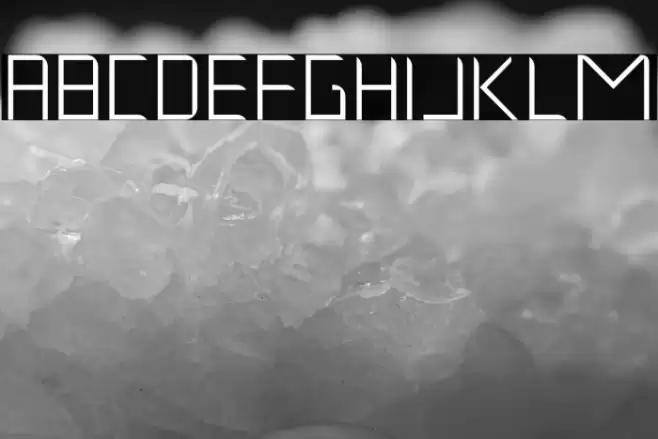 Musk Night Polices examples