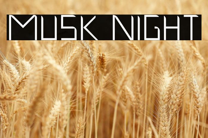 Musk Night Example 2