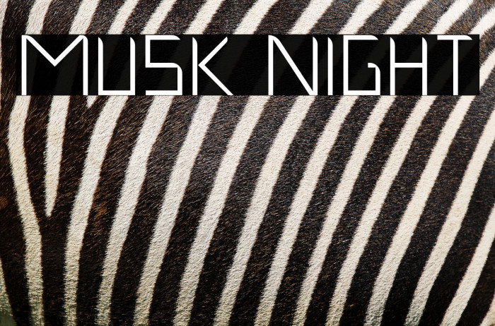 Musk Night Example 3