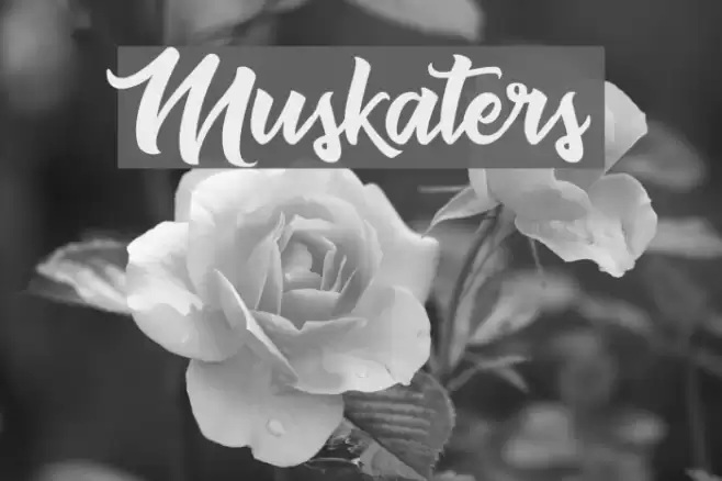 Muskaters Font examples