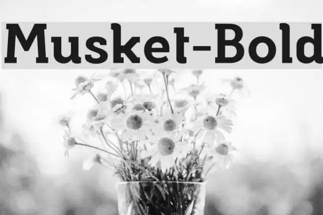 Musket-Bold Font examples