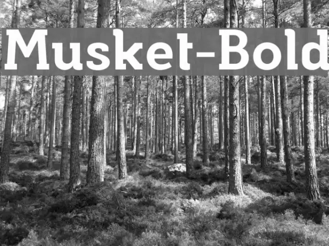 Musket-Bold Font examples