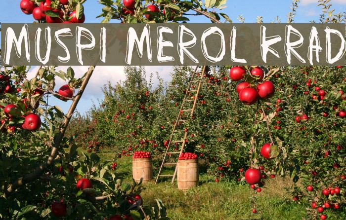 Muspi Merol Krad Font examples