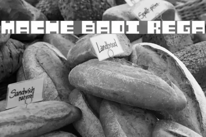 Mustache Bandit Regular Font examples