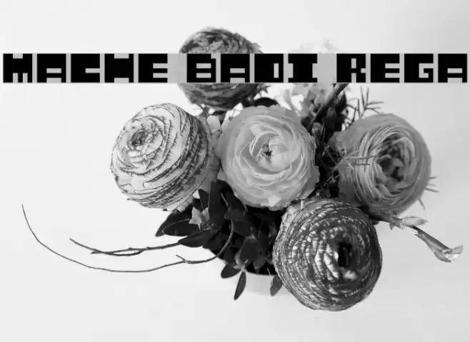 Mustache Bandit Regular Font examples